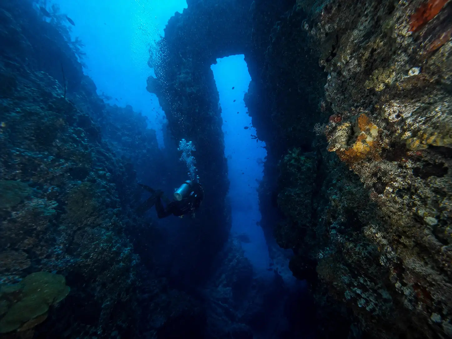 A scuba diver in dark gear glides through a narrow, sunlit underwater archway formed by rugged coral and rock.