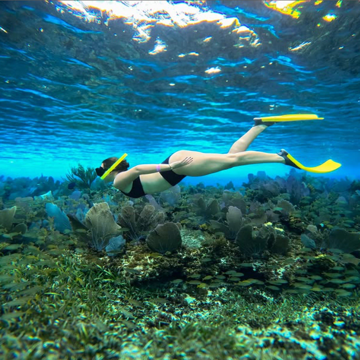 Scuba Du Cozumel
