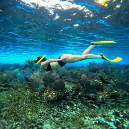 Scuba Du Cozumel