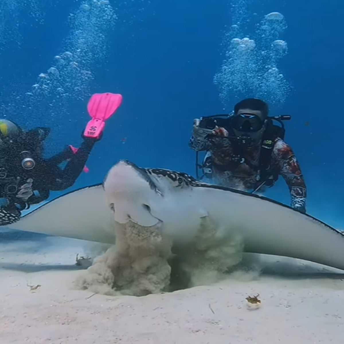 Scuba Life Cozumel