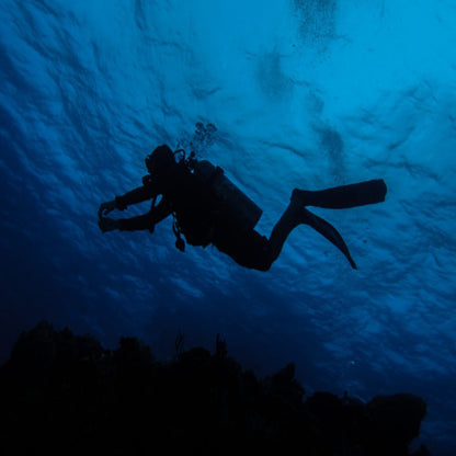 Scuba Life Cozumel