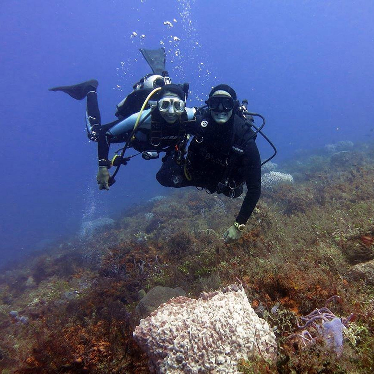 Scubamau Cozumel
