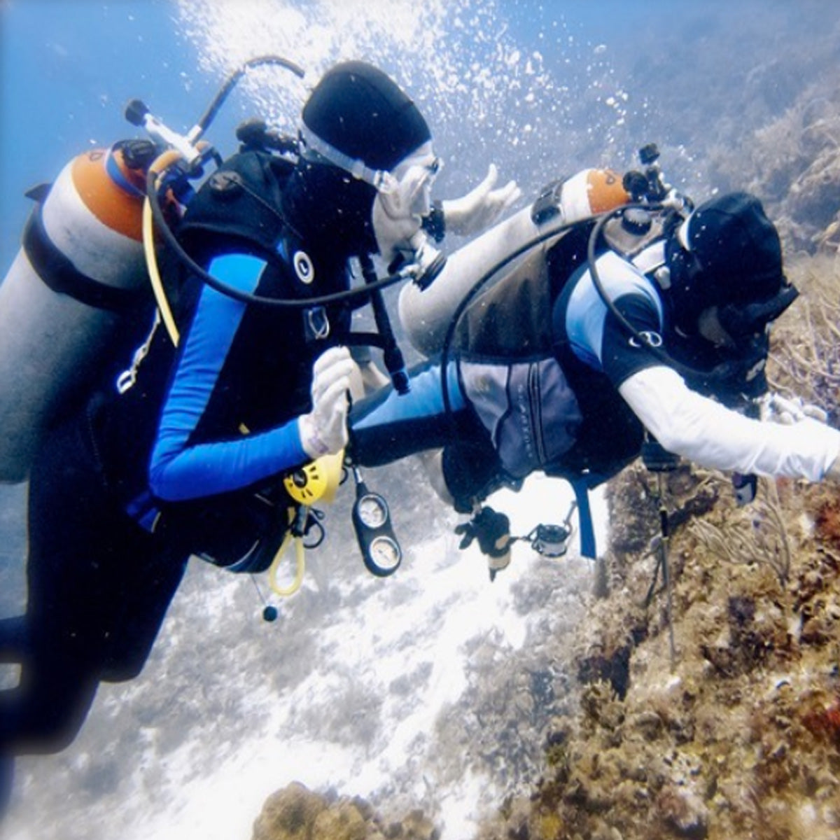 Tres Pelicanos Dive Center Cozumel