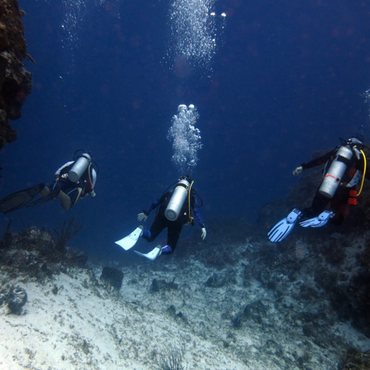 Tres Pelicanos Dive Center Cozumel