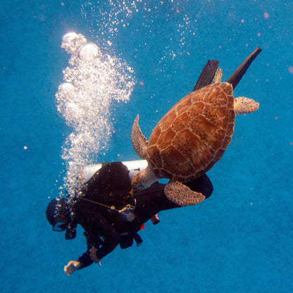 Tres Pelicanos Dive Center Cozumel