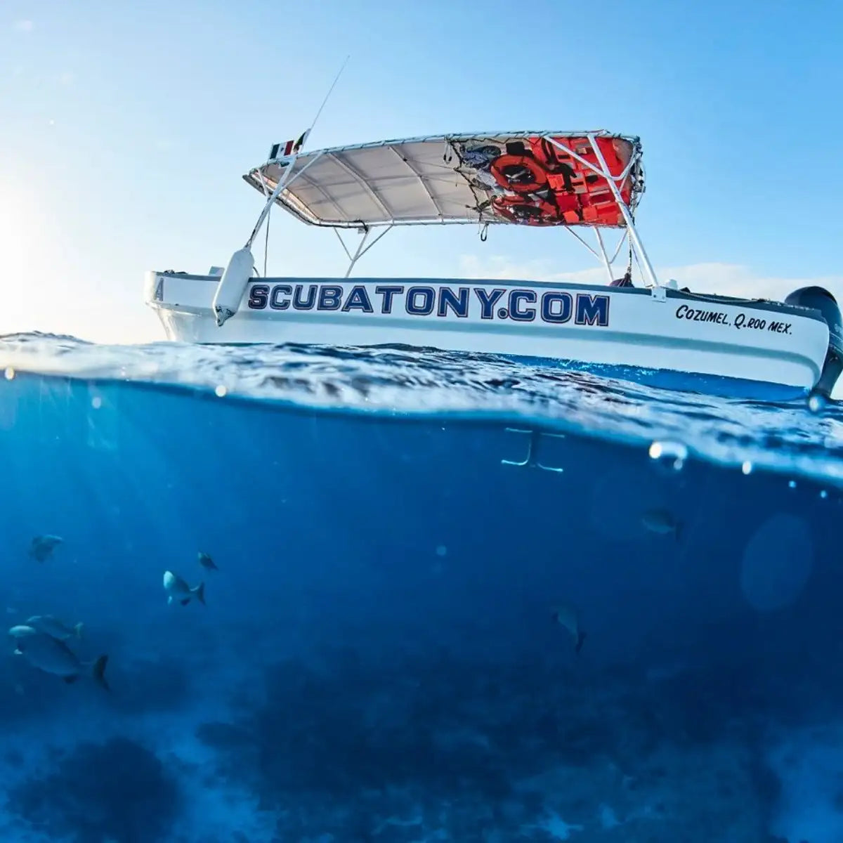 White motorboat with blue lettering and a red life preserver under its canopy.