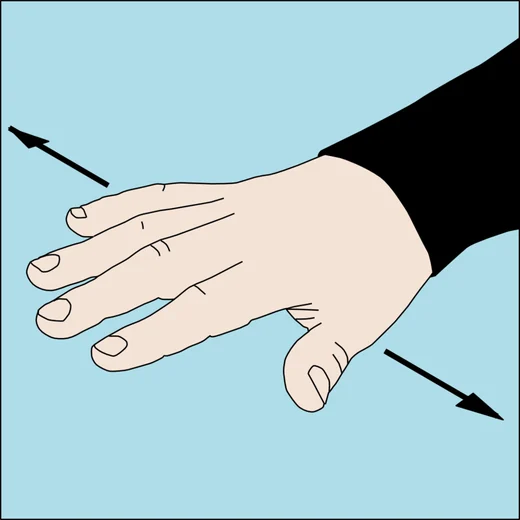 Dive hand signal for level out: flat hand held horizontally, palm down