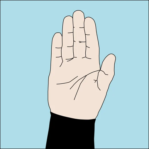 Dive hand signal for stop: flat palm facing the buddy, fingers together, arm extended