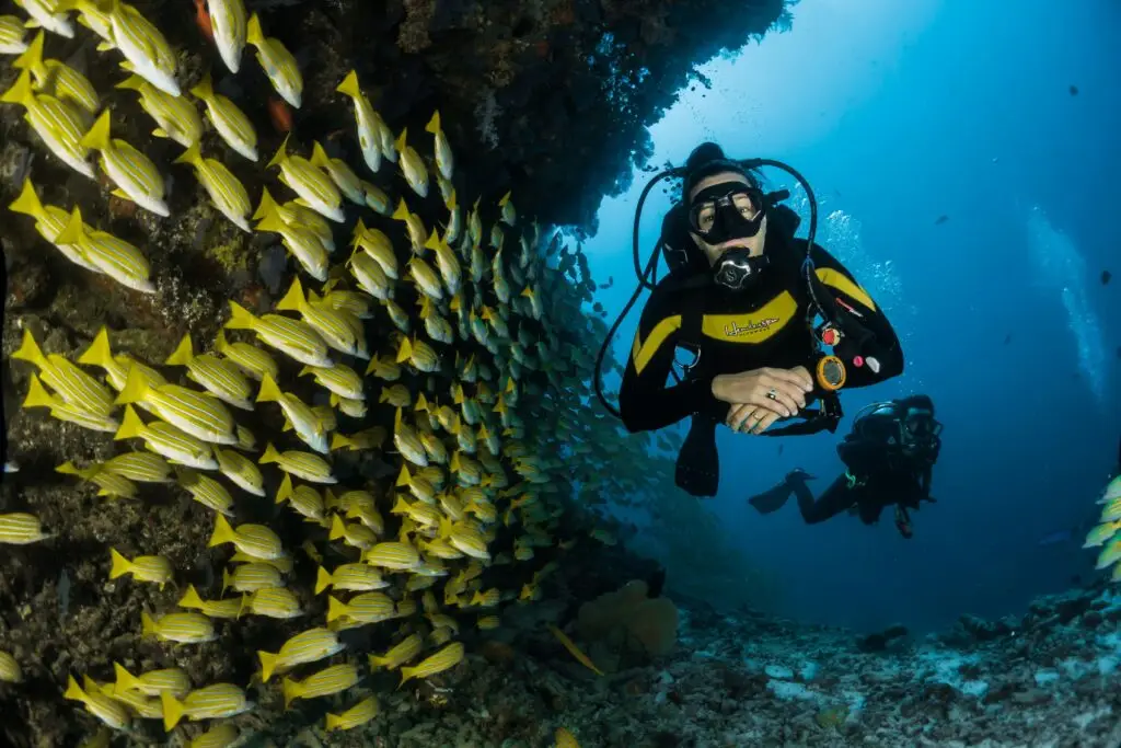 Dive sites